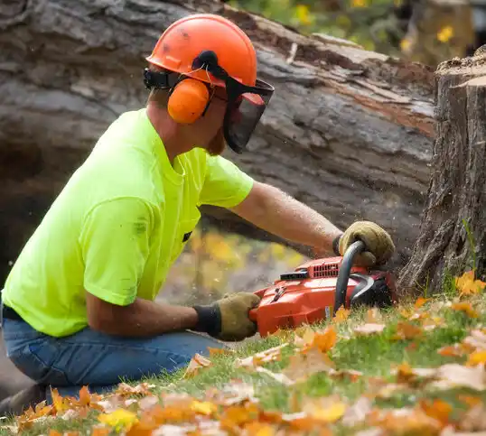 tree services Yonkers